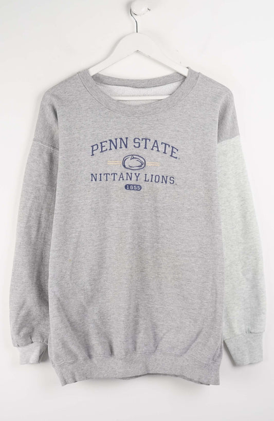 Gray sweatshirt with 'Penn State Nittany Lions' text on a white background