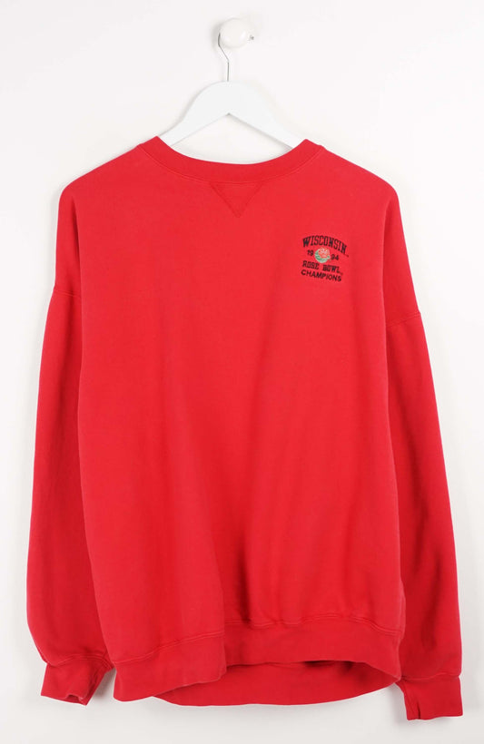 VINTAGE WISCONSIN SWEATER (L)
